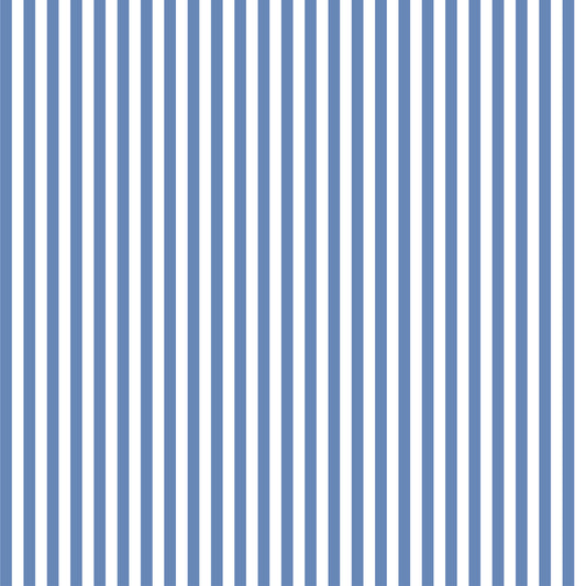 Blue Stripes Kindle Paperwhite (11th Gen) Case
